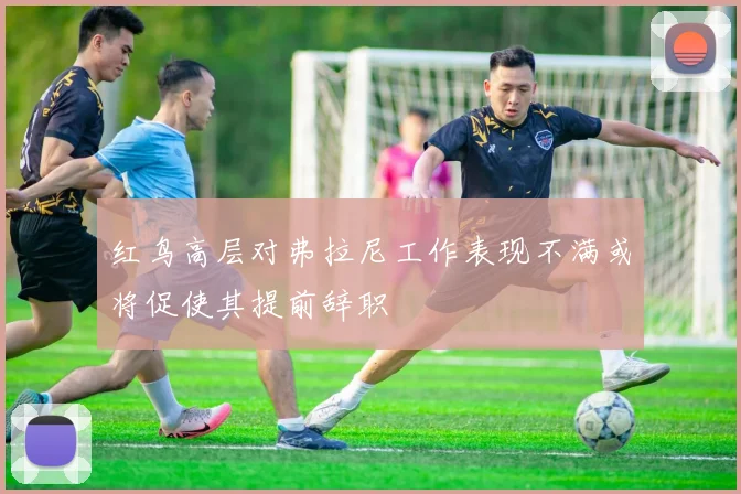 红鸟高层对弗拉尼工作表现不满或将促使其提前辞职