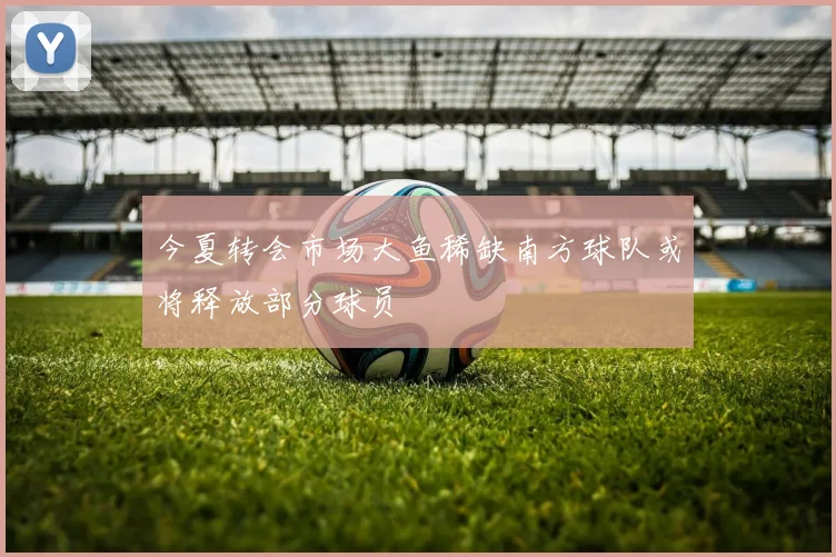 今夏转会市场大鱼稀缺南方球队或将释放部分球员